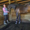 equine air pro compression boots launch promo ends july 2025 !