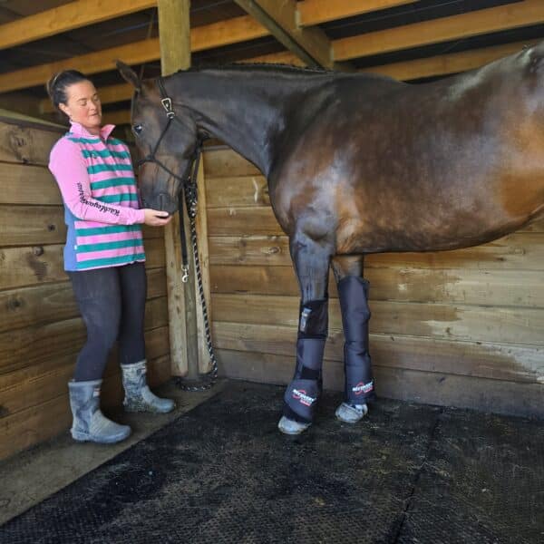 equine air pro compression boots launch promo ends july 2025 !