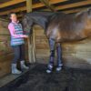 Rikki Lee and Riley enjoying the Equine Air Pro compression boots.