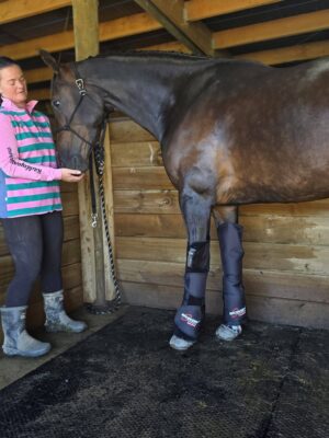 Equine-Air-Pro-Compression-boots Rikki Lee and Riley enjoying the Equine Air Pro compression boots.