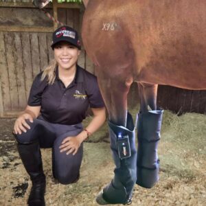 equine air compression boots | spring sale on now !