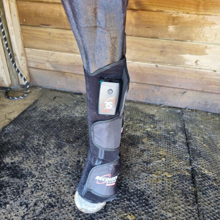 equine air pro compression boots launch promo ends july 2025 !