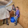 equine air pro compression boots launch promo ends july 2025 !