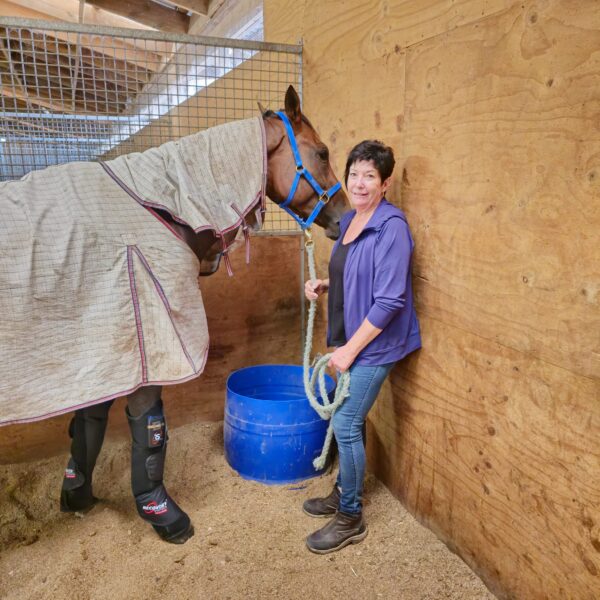 equine air pro compression boots launch promo ends july 2025 !
