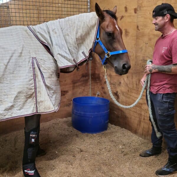equine air pro compression boots launch promo ends july 2025 !