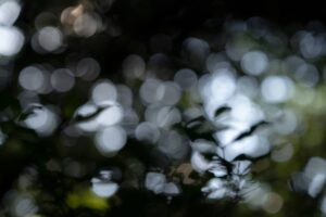 Negative Ions and their benefits