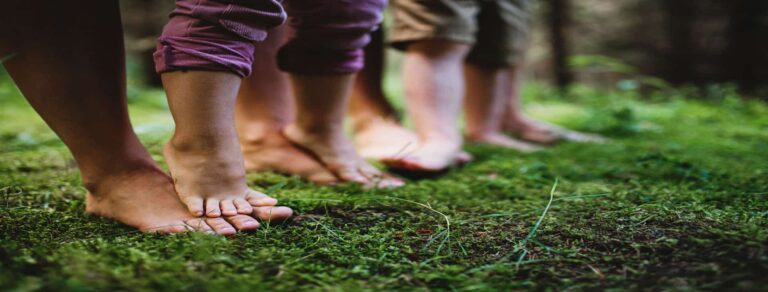 pemf vs grounding (1)