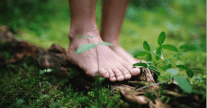 walking in nature(1)