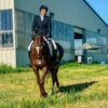 equine air pro 4 legged package
