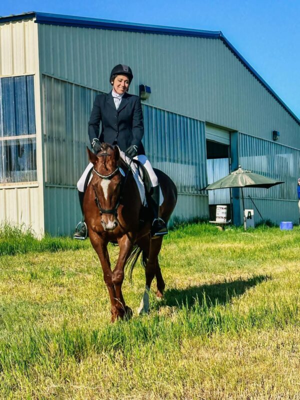 equine air pro 4 legged package