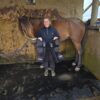 equine air pro 4 legged package