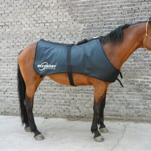 recovery systems equine regenrug pro 3 in 1 far infrared heat, pemf & photon therapy horse rug | full back coverage