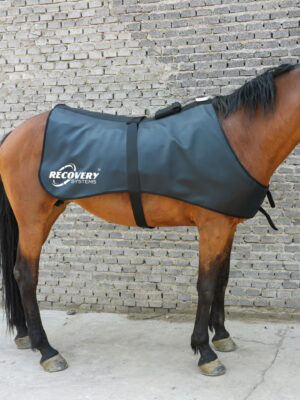 Equine RegenRug - world's first 3-in-1 Far Infrared, PEMF& Red Light Horse Therapy Rug Equine RegenRug Pro therapy rug fitted on a performance horse showing full back and topline coverage