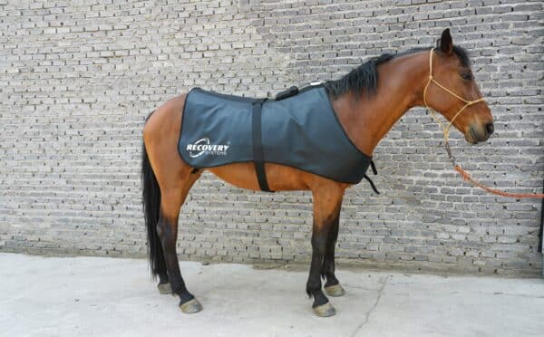 recovery systems equine regenrug pro 3 in 1 far infrared heat, pemf & photon therapy horse rug | full back coverage