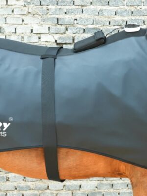 Equine-RegenRug-pemf Equine Regenrug pro | 3 in 1 far infrared, pemf & red light horse rug