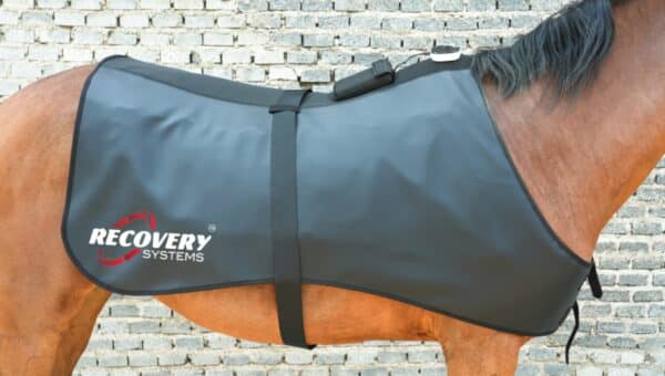 equine regenrug pro | 3 in 1 far infrared, pemf & red light horse rug