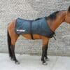 equine regenrug pro | 3 in 1 far infrared, pemf & red light horse rug