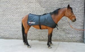 Equine Regenrug pro | 3 in 1 far infrared, pemf & red light horse rug