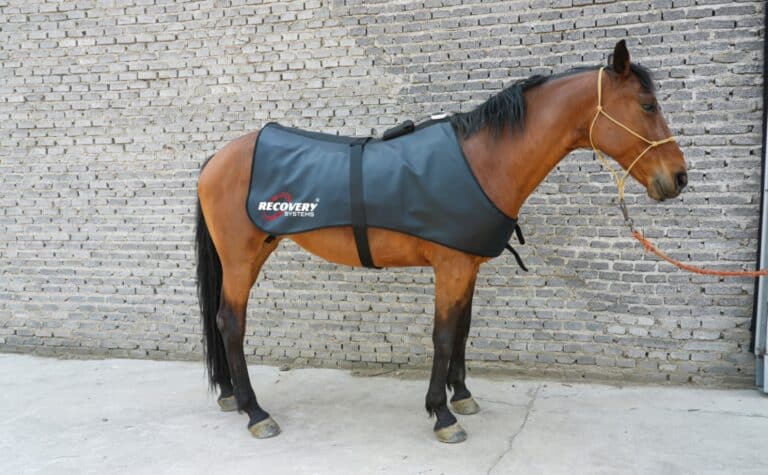 Equine Regenrug pro | 3 in 1 far infrared, pemf & red light horse rug