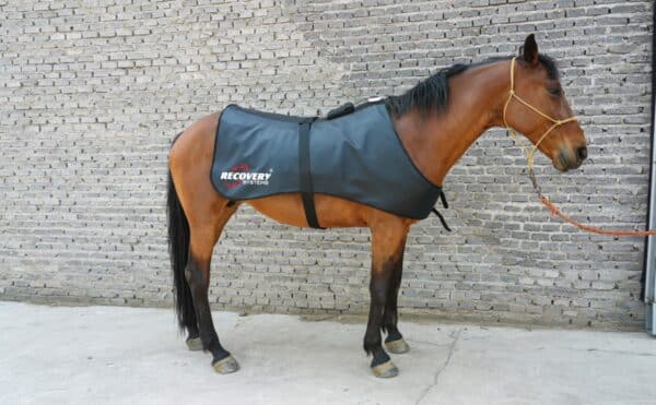 recovery systems equine regenrug pro 3 in 1 far infrared heat, pemf & photon therapy horse rug | full back coverage