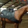 equine recovery suite hoof to topline bundle