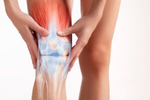 knee muscle joint illustration pain overlay