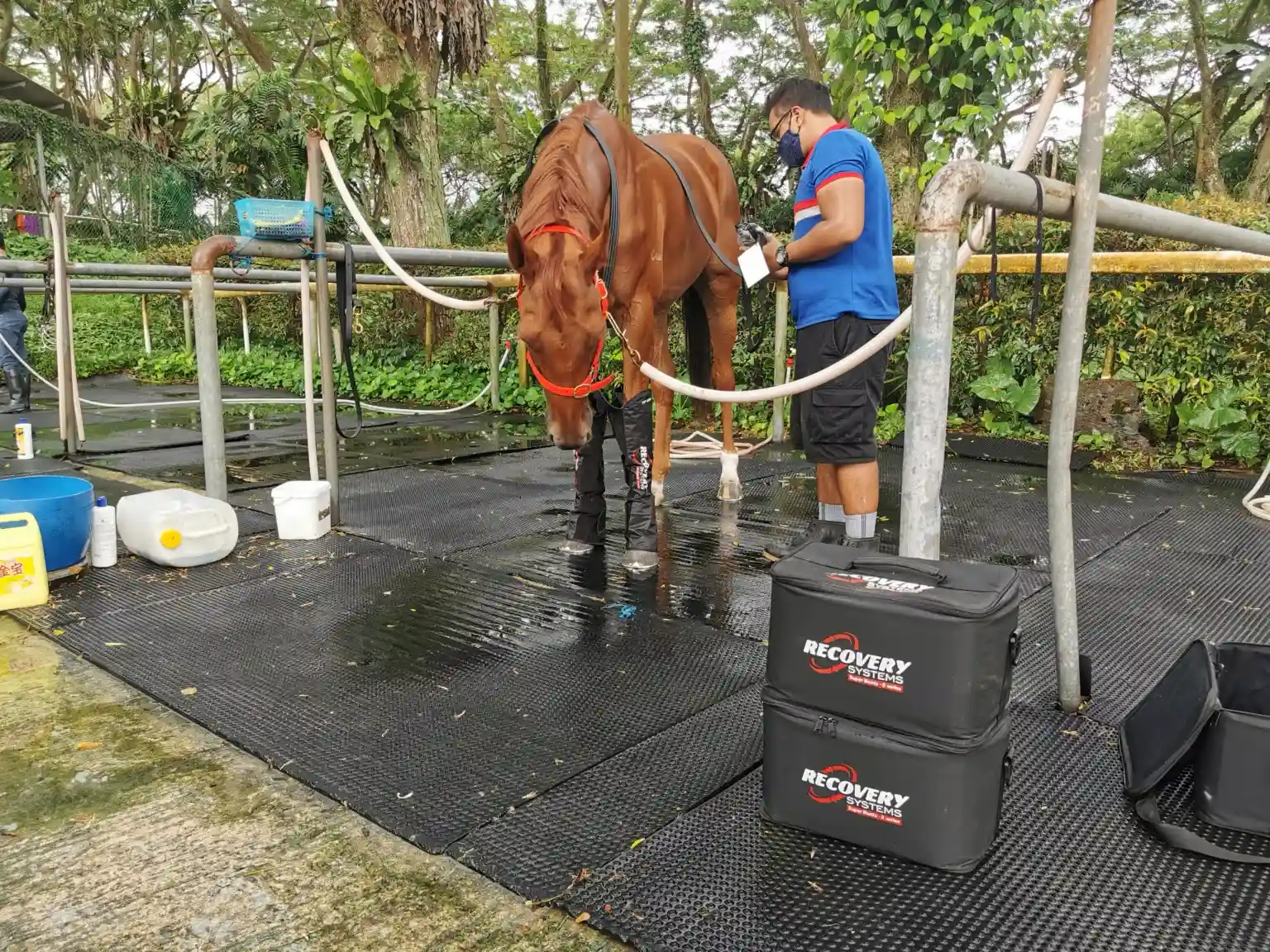 equine-recovery-products equine recovery products